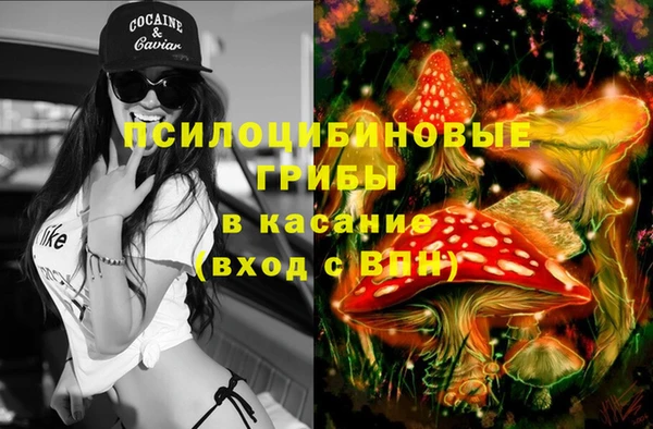 spice Армянск