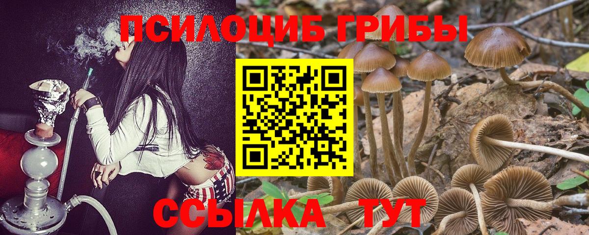 Кубинка  Псилоцибиновые грибы Cubensis  Вход с VPN 